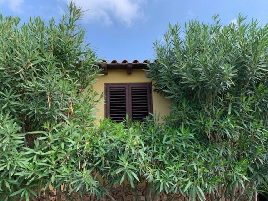 Villa Maveda, Un Dammuso Immerso Nel Verde ลัมเปดูซา ภายนอก รูปภาพ