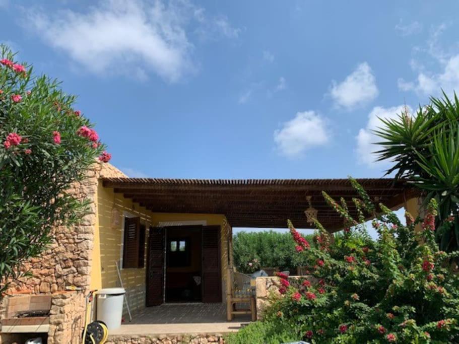 Villa Maveda, Un Dammuso Immerso Nel Verde ลัมเปดูซา ภายนอก รูปภาพ