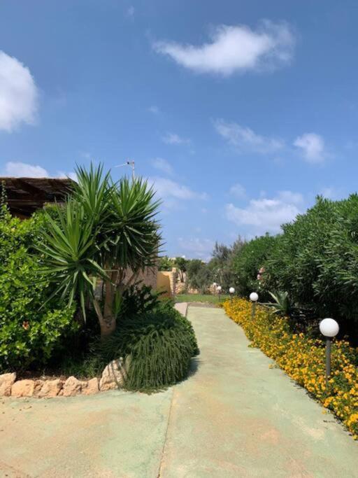 Villa Maveda, Un Dammuso Immerso Nel Verde ลัมเปดูซา ภายนอก รูปภาพ
